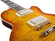 bluesbird_burst_detail_1-705x529