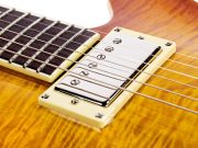 bluesbird_burst_detail_3-705x529