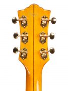 starfire_VI_detail_hs_back1