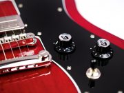 tbirst_st_red_detail2-705x529